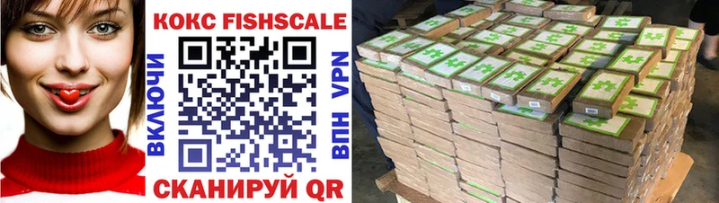 Купить закладки  Ершов  COCAIN VHQ 