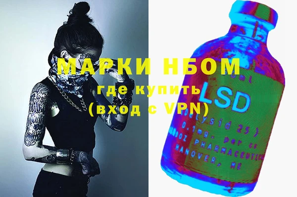 хмурый Зеленокумск