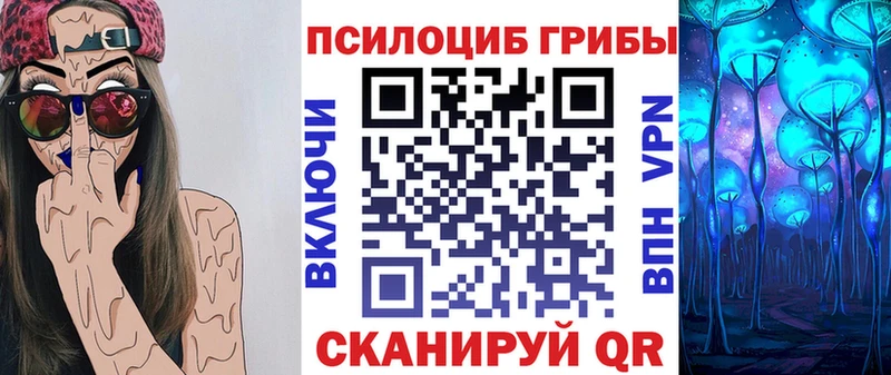 Псилоцибиновые грибы прущие грибы  Купить где  Ершов 